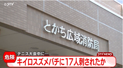 ハチ関連ニュース【毎年起こ・・の画像