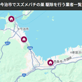 今治市でスズメバチの巣 駆除を行う業者一覧