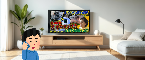 ハッチー小川さんにハチ駆除・・の画像