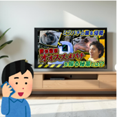 ハッチー小川さんにハチ駆除依頼する方法