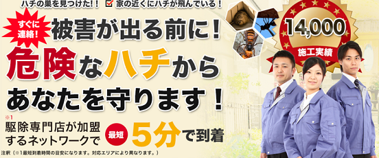 ハチ王の口コミ評判と料金・・の画像