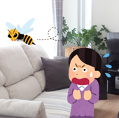 蜂が家の中に入ってきたら絶対にしてはいけないこと、すべきこと