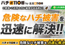 神奈川県で安心してスズメバ・・の画像