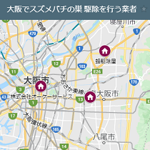 大阪でスズメバチの巣 駆除を行う業者一覧