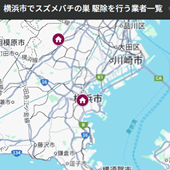 横浜でスズメバチの巣 駆除を行う業者一覧