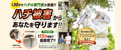 徳島県でスズメバチの巣 駆・・の画像
