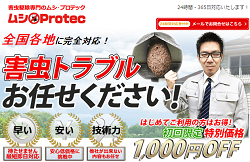 埼玉県で安心してスズメバチ・・の画像