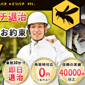 ハチお助け本舗の口コミ評判と料金